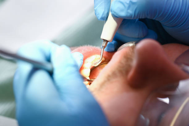 Best Dentist Open Late Near Me  in Auburn Hills, MI